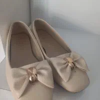 کفش مجلسی