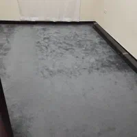 موکت ظریف مصور