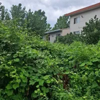 زمین مسکونی سند تک برک