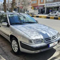 زانتیا بی رنگ۸۵