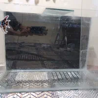 اکواریوم