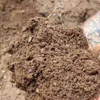 کود ورمی کمپوست فوق العاده باکیفیت