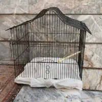 پرنده
