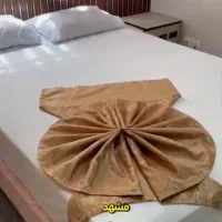 کار در لابی و هتل
