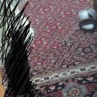 فرش سالم|فرش|بجنورد, |دیوار