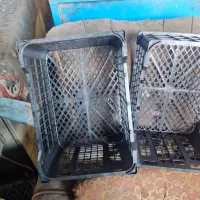 سبد14گوجه