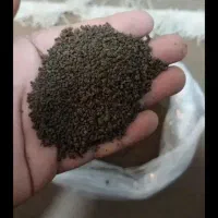 چای باروتی