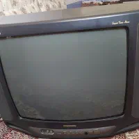 تلویزیون