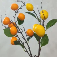شاخه لیمو و نارنگی