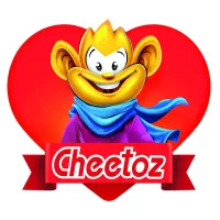 حسابدار در شرکت چی توز