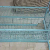 کهواره