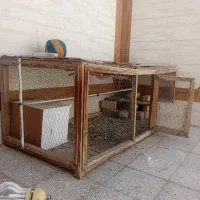 قفس پرنده