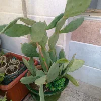 به علت تغییر جا گذاشتم برای فروش