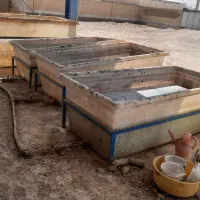 کارگر افغان زرنگ