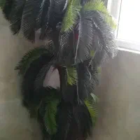 درخت مصنوعی خارجی