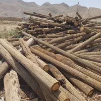 تیر برق چوبی