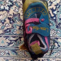 کفش صخره نوردی مدل لاوان