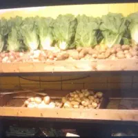 مطبق تره بار