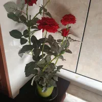 گل مصنوعی همراه گلدان