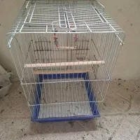 قفس پرنده