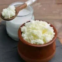 قارچ کفیر قفقازی بهترین نوع قارچ