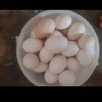 تخم مرغ محلی
