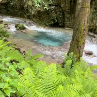 کمپ جنگل و رودخانه فیروزه ای