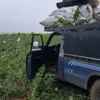 نیسان جهت باربری در سراسر ایران