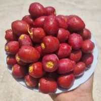 خارک برحی قرمز ترد و شیرین و خوشمزه