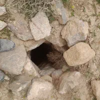 کار بنایی سفتکاری