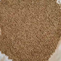 عدس مغان پلویی درجه یک تازه برداشت امسال