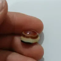 نگین بابا قوری چند پوست