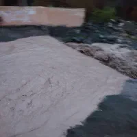 لنت پژو تکستار و افورتیس