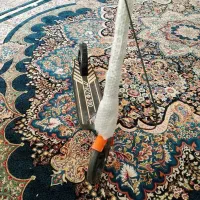 نوع در حد نوع