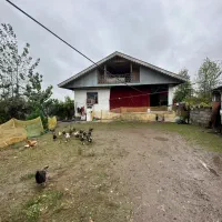 درخت موز|فروش زمین و ملک کلنگی|کوچصفهان, |دیوار