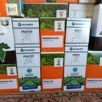 فروش بذر چغندر