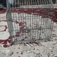 قفس سهره