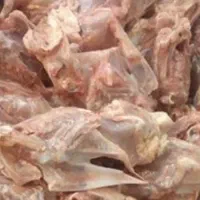اسکلت مرغ