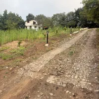 خونه-باغ-با-سند-تک-برگ