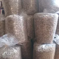 تخمه|خوردنی و آشامیدنی|اردبیل, |دیوار