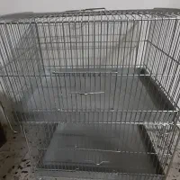 قفس سهره، قناری