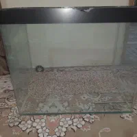 آکواریوم شیشه خم و وسایلش