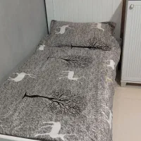 دوعدد تخت سفید شرکتی جنس خوب