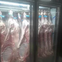استخدام نیروی قصاب