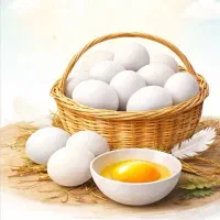 تحویل تخم مرغ درب منزل