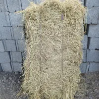 کاه بسته بندی تعداد 250