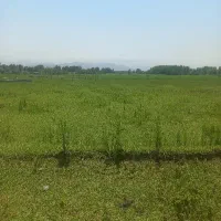 300متر-زمین-داخل-طرح-سنگر