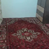 فرش دستبافت 6 متری