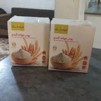 کرم جوانه گندم و