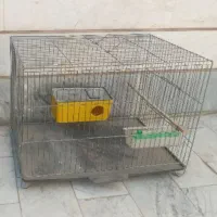 قفس مرغ عشق